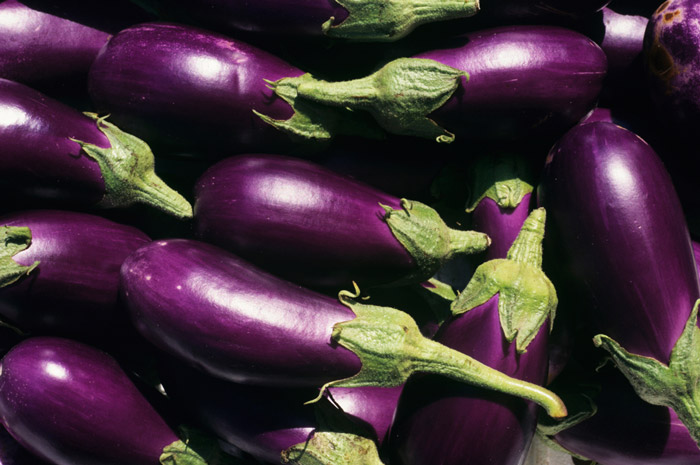 Eggplant | Tem-Cole | Top Class | TC Marketing