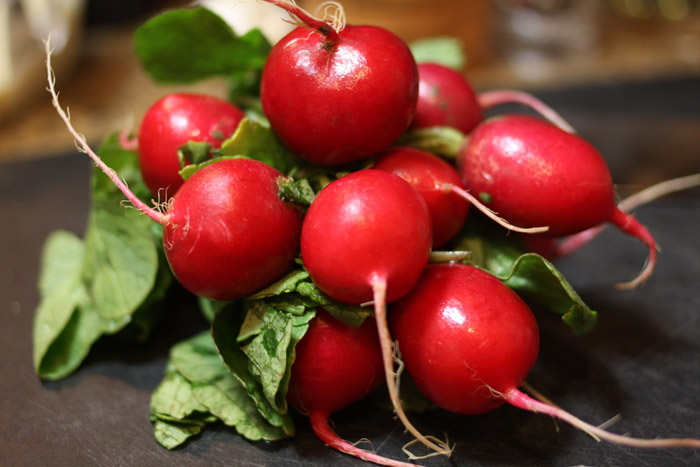 Radishes | Tem-Cole | Top Class | TC Marketing