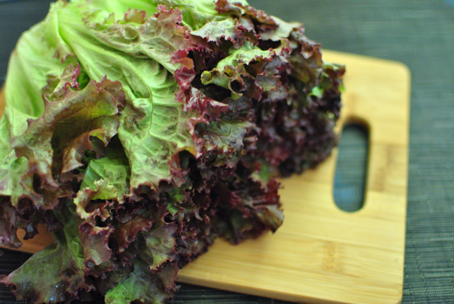 Red Leaf Lettuce | Tem-Cole | Top Class | TC Marketing